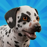 Pocket Paws: My lovely dogs