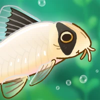 Pondlife — Fish, Frogs & More!